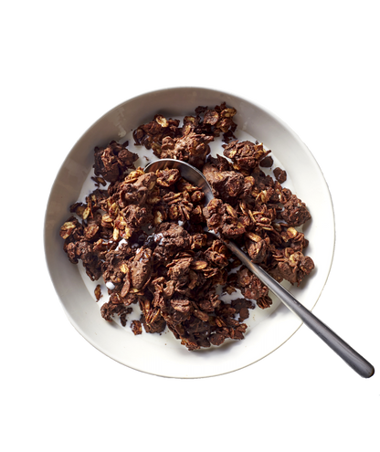LifeLike Granola 400 g chocolate